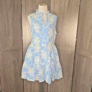 Avara Women Light Blue Floral Lace Dress